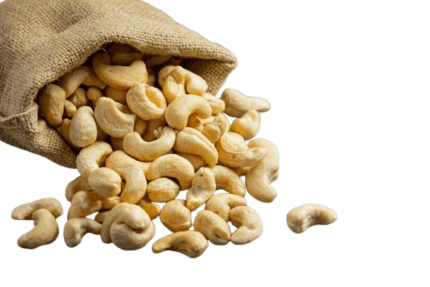 Fresh Dry Fruit Cashews